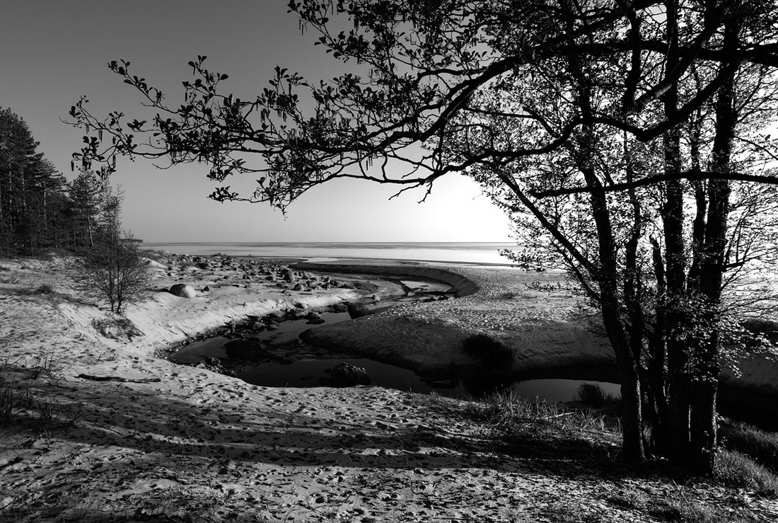 Все реки впадают