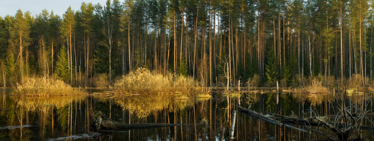 Зеркало разлива