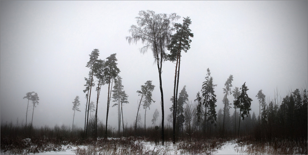 туманный фейерверк