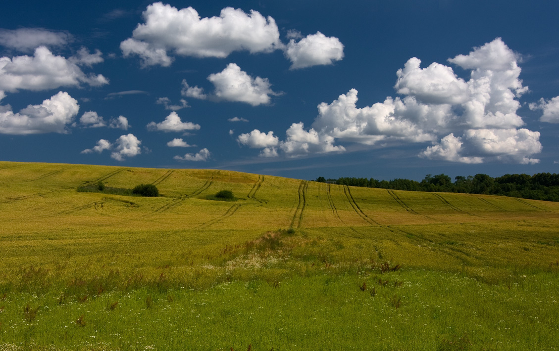 Не мог не остановиться