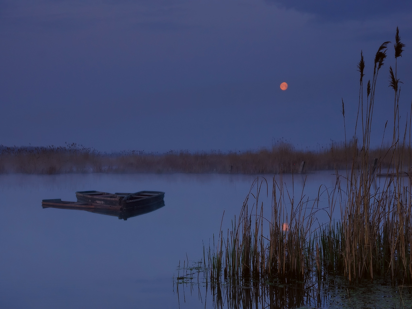 В Предрассветной Мгле