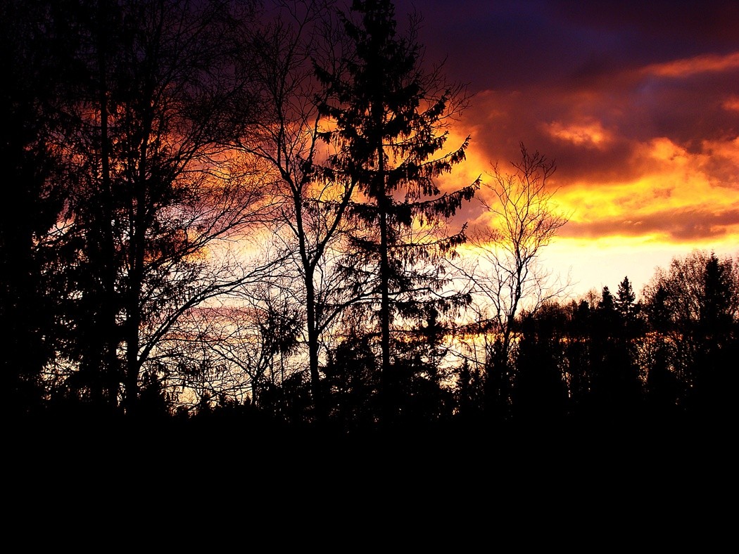 Прекрасный вечер