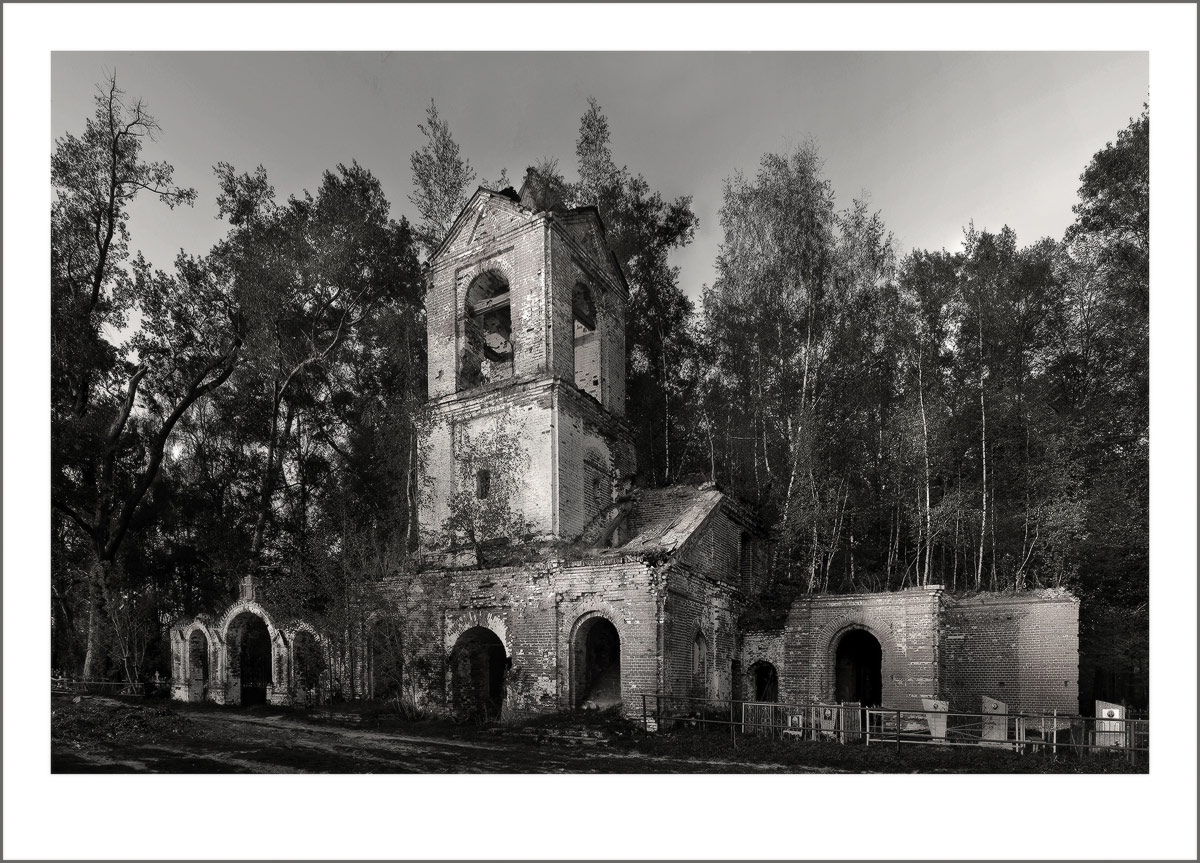 .... растут деревья.