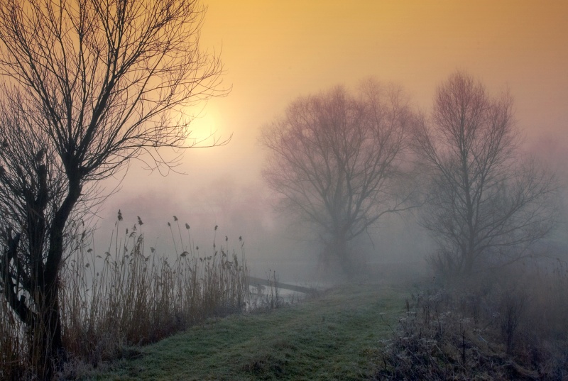 Утро туманное