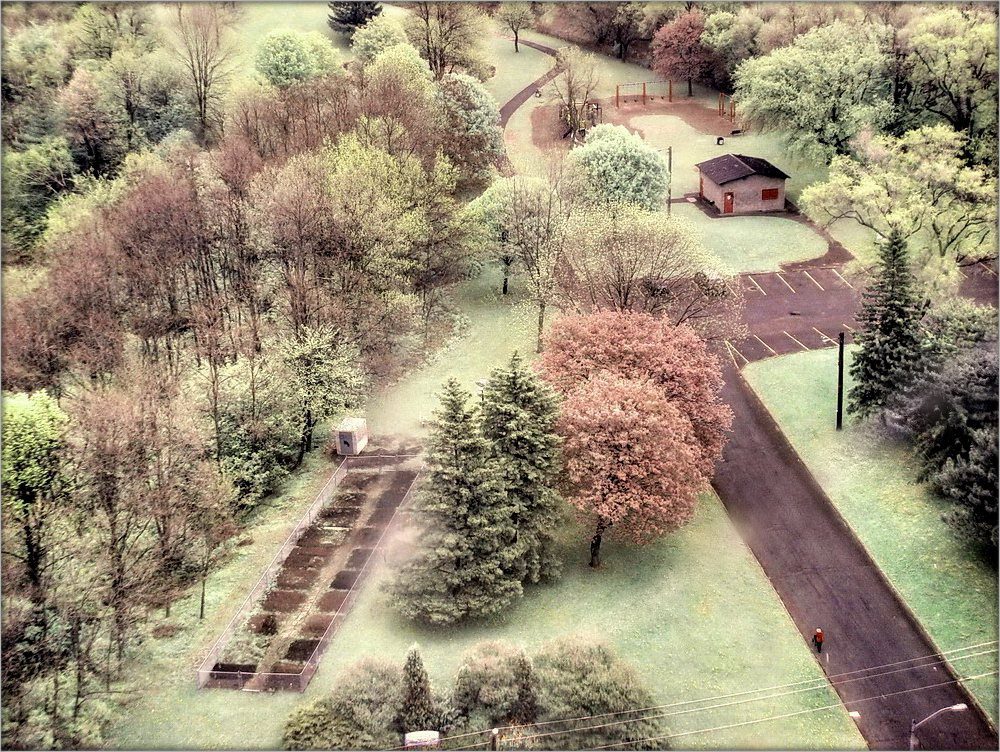 весна из окна