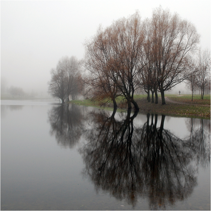 крылья тумана