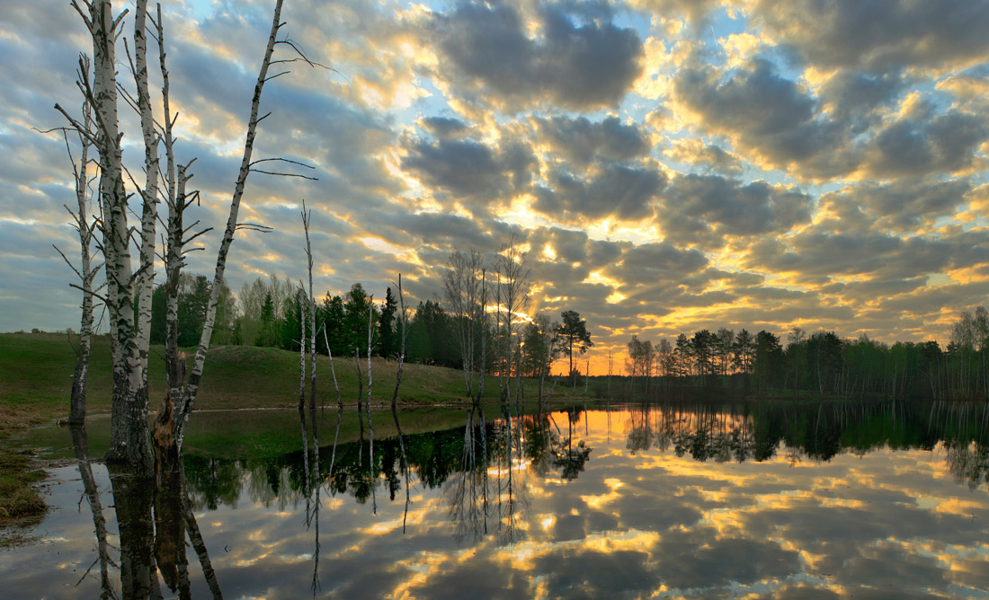 Саврасово просыпается