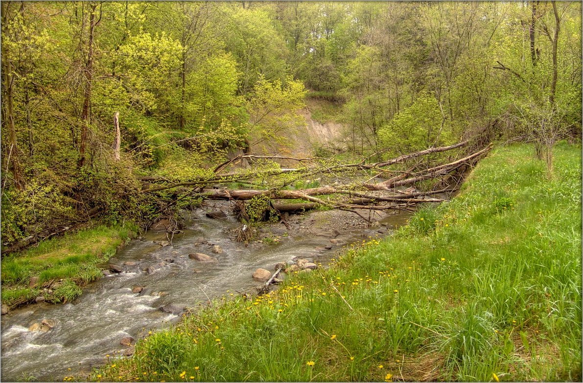 весенний бег Тейлора
