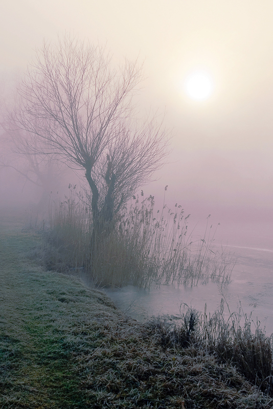 Как сон чарующий туман