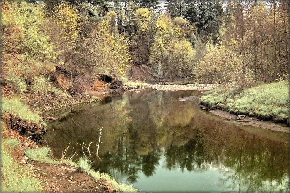 майские сны