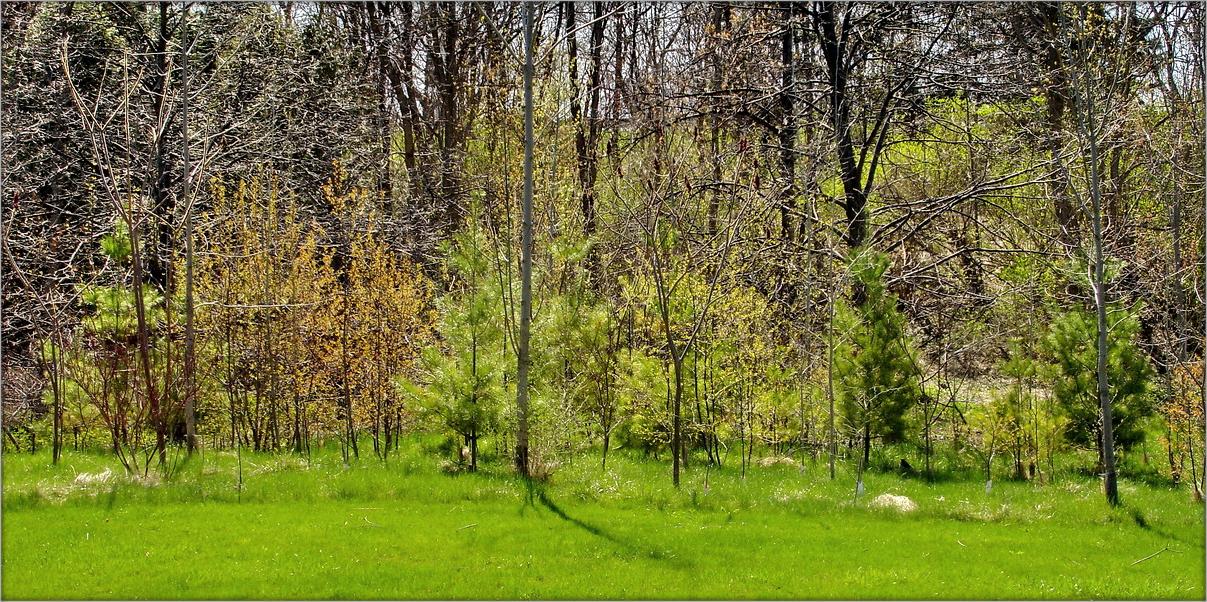 солнечный калейдоскоп