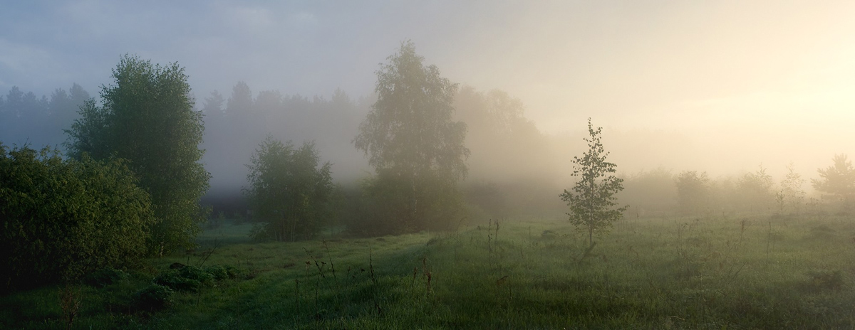 Красивое утро