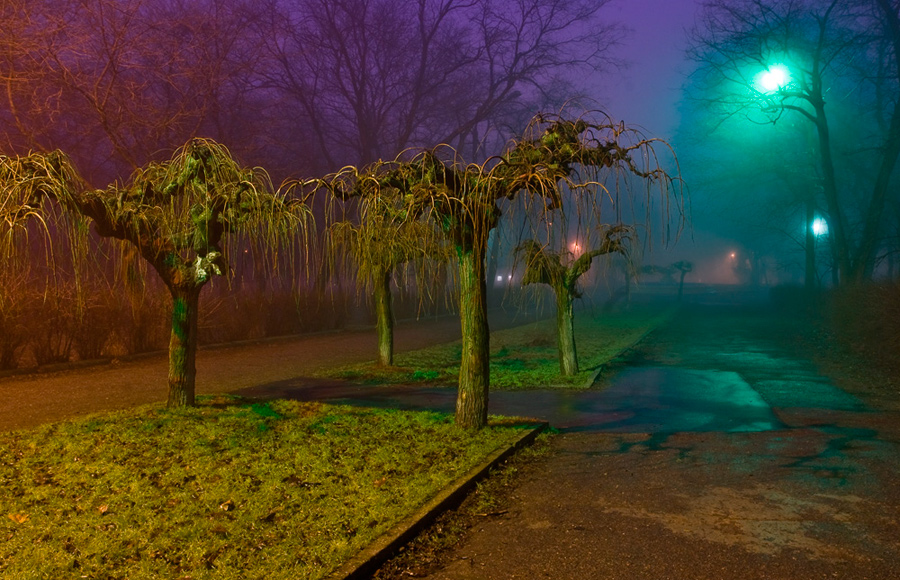 Ночные краски