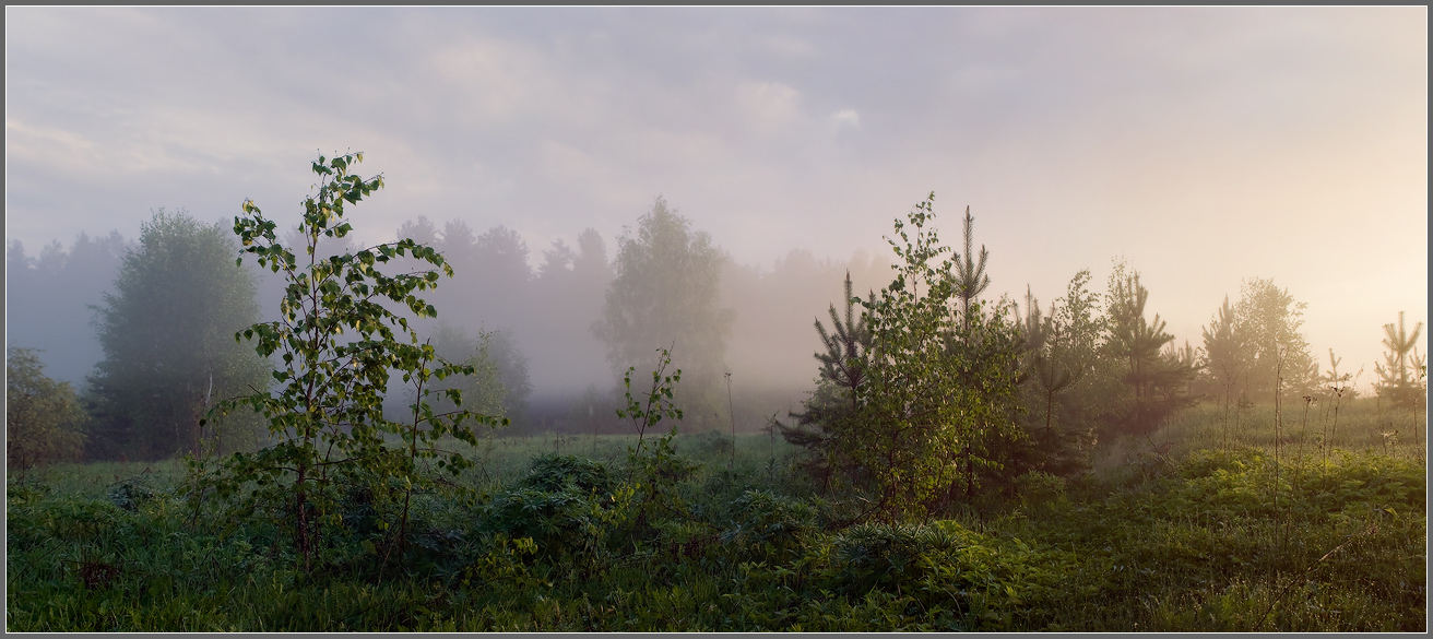 Утренняя свежесть