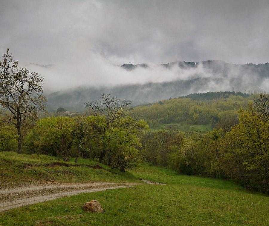 Хмурая весна