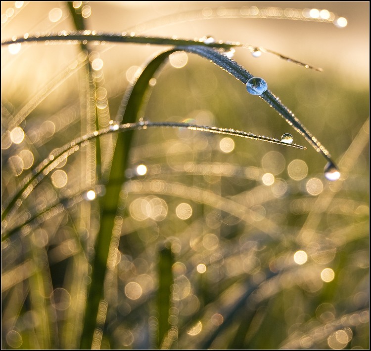 состояние души