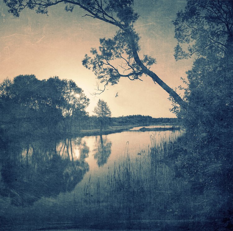 Той дзень...