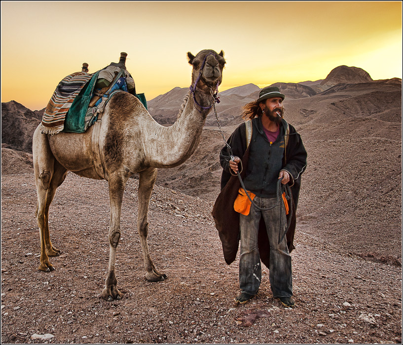Бедуин и его спутник