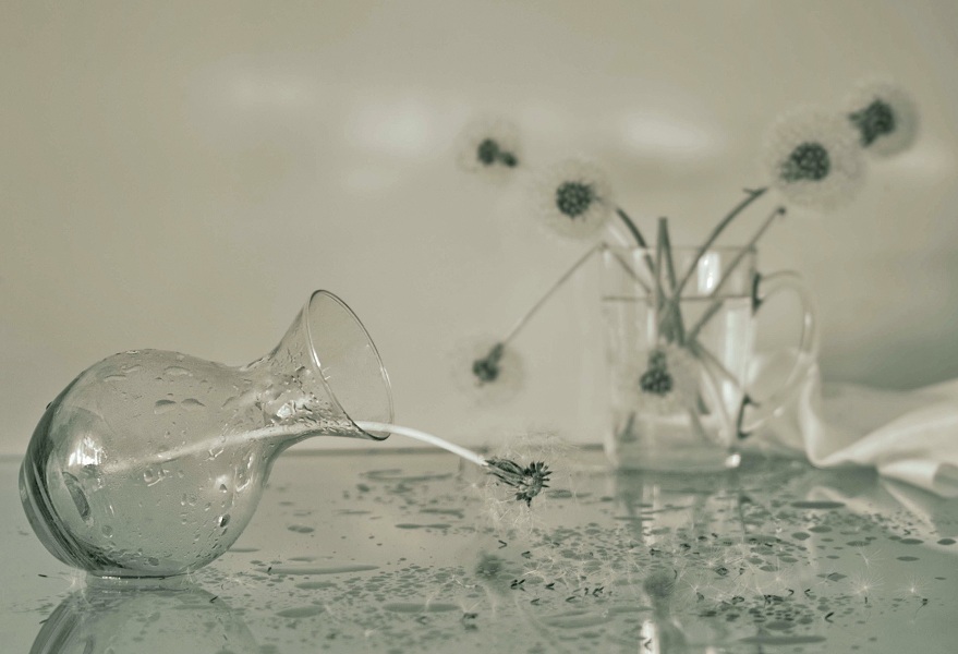 после дождя...