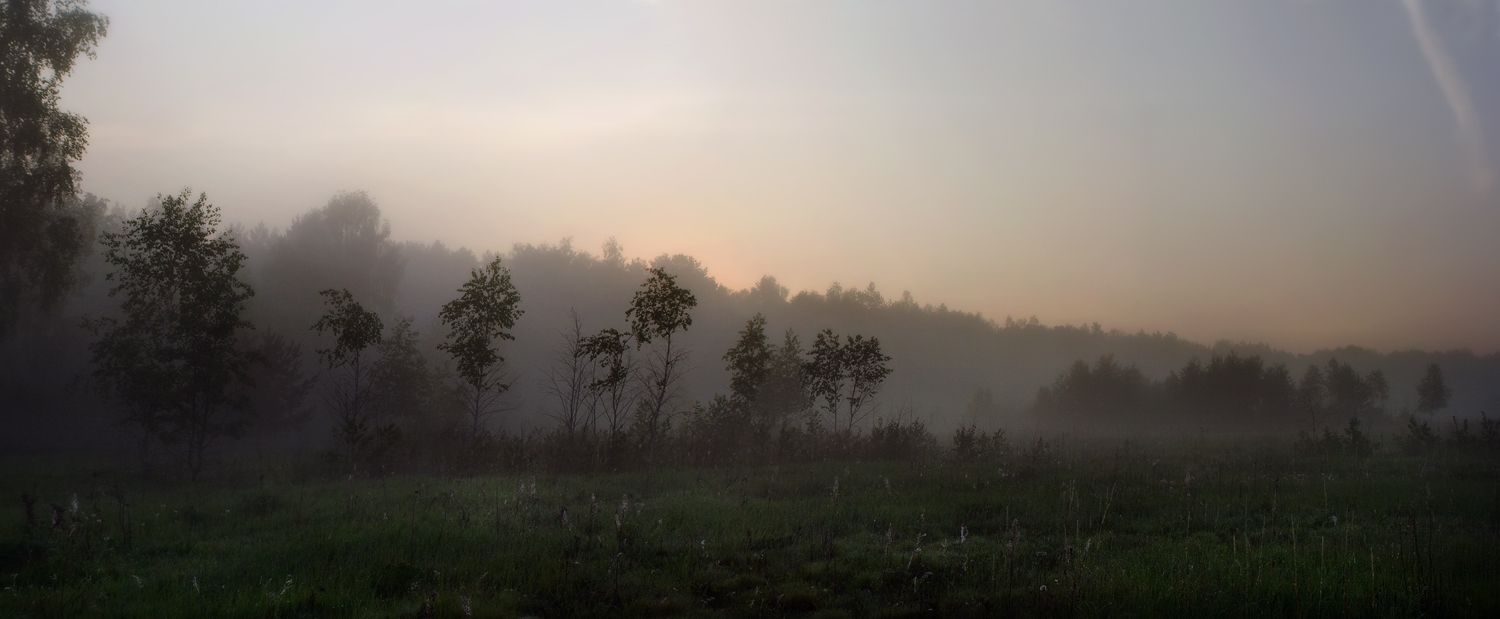 Между ночью и утром, между полем и лесом