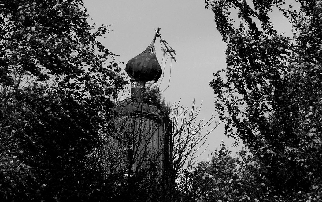 Купол Покровской церкви