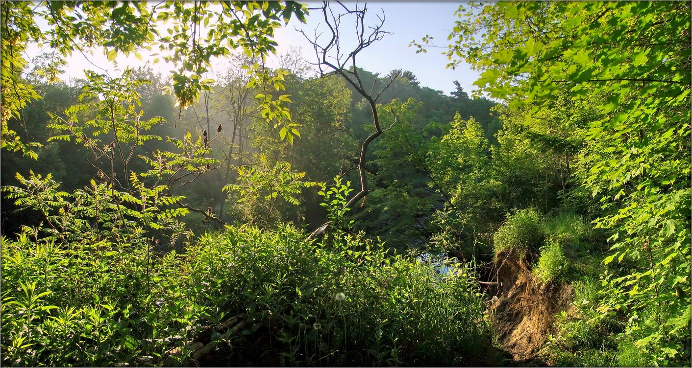 первый день лета