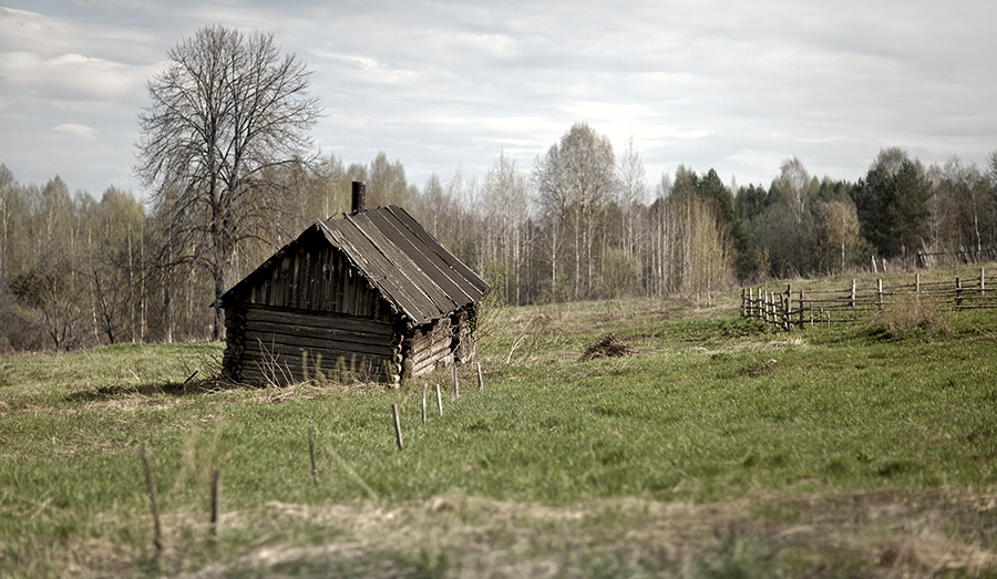 Тимур Кострома. Окраина