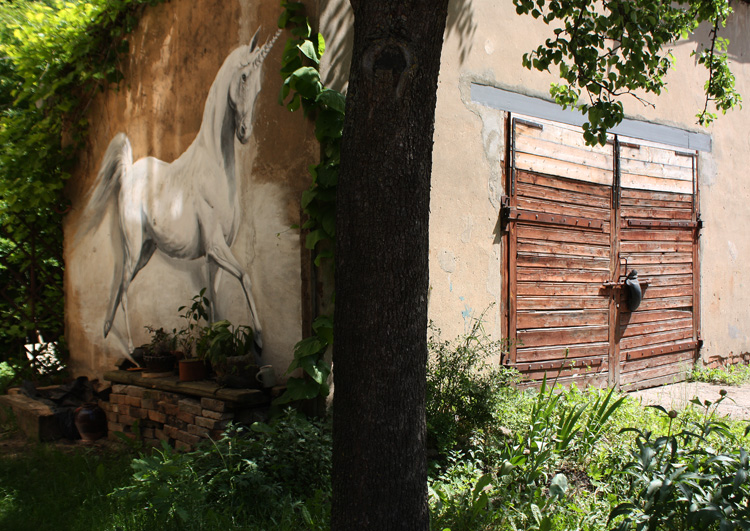 Из жизни единорогов