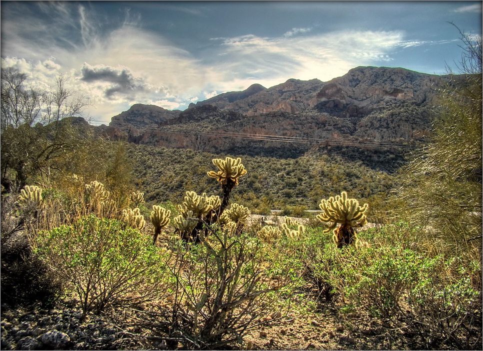 сны об Аризоне