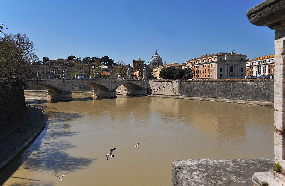 Чайки над Тибром