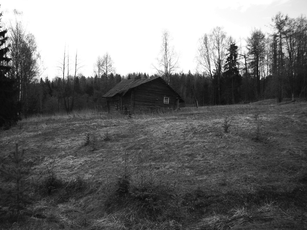 "Вот этот дом нам отслуживший век..."