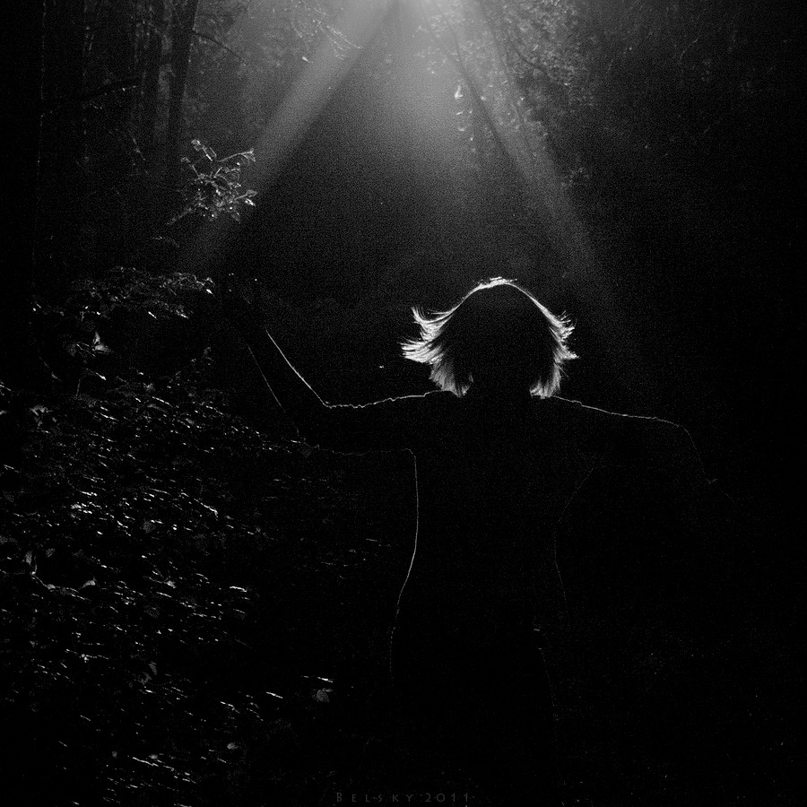 Кино из одуванчиков ...