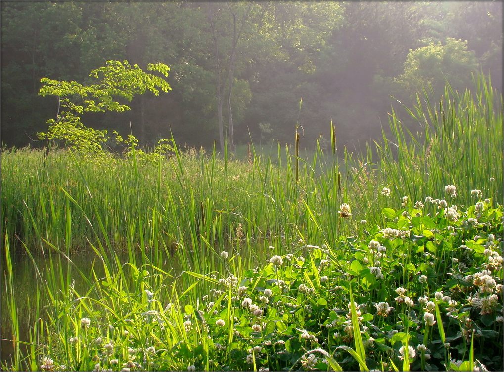 вот и лето ..2