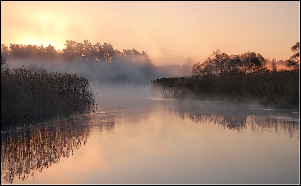Пробуждение II