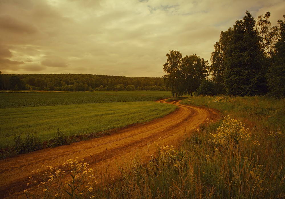 Русское полесье