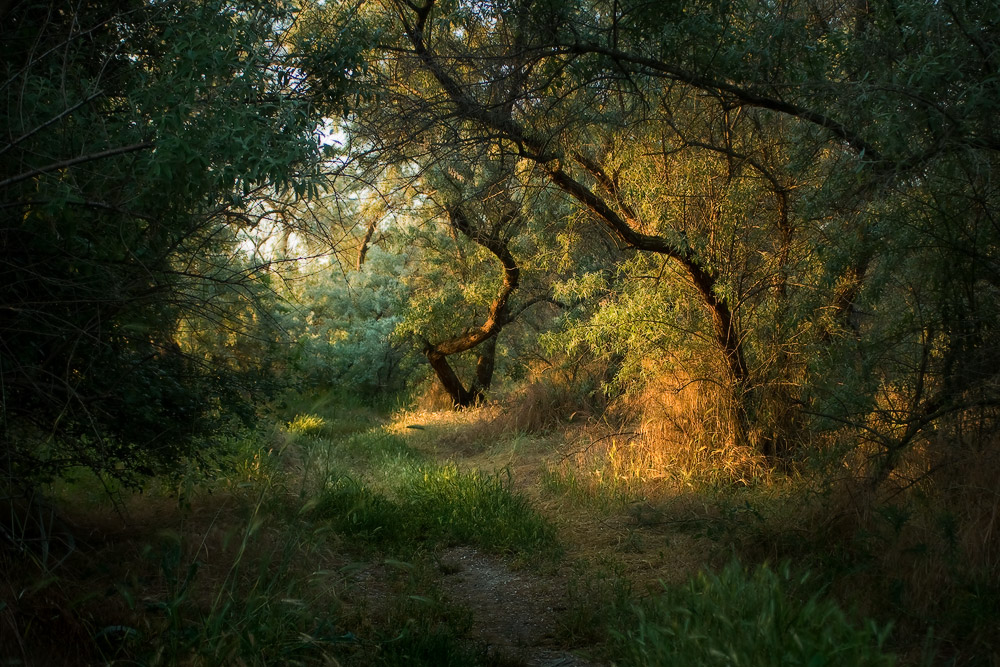 Раннее утро