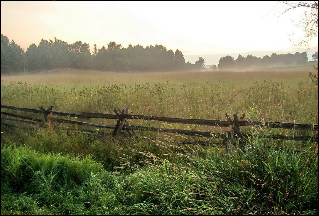 фермерские рассветы