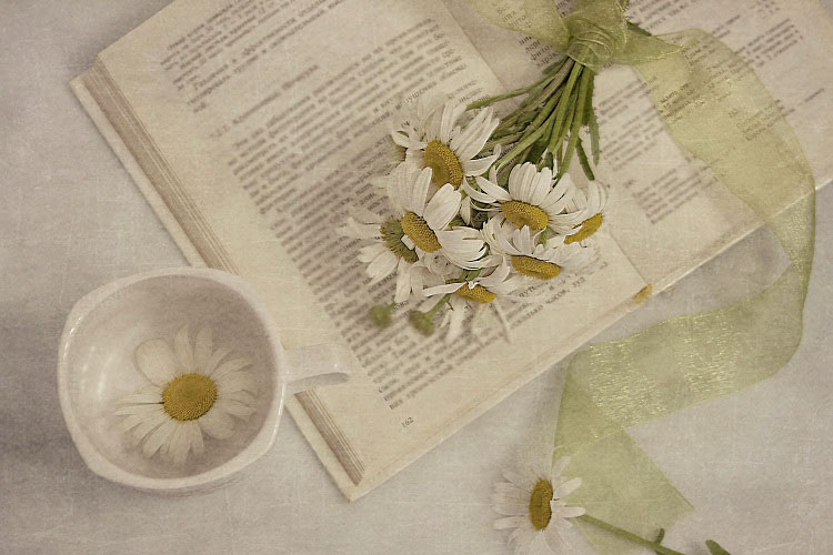 полевой роман