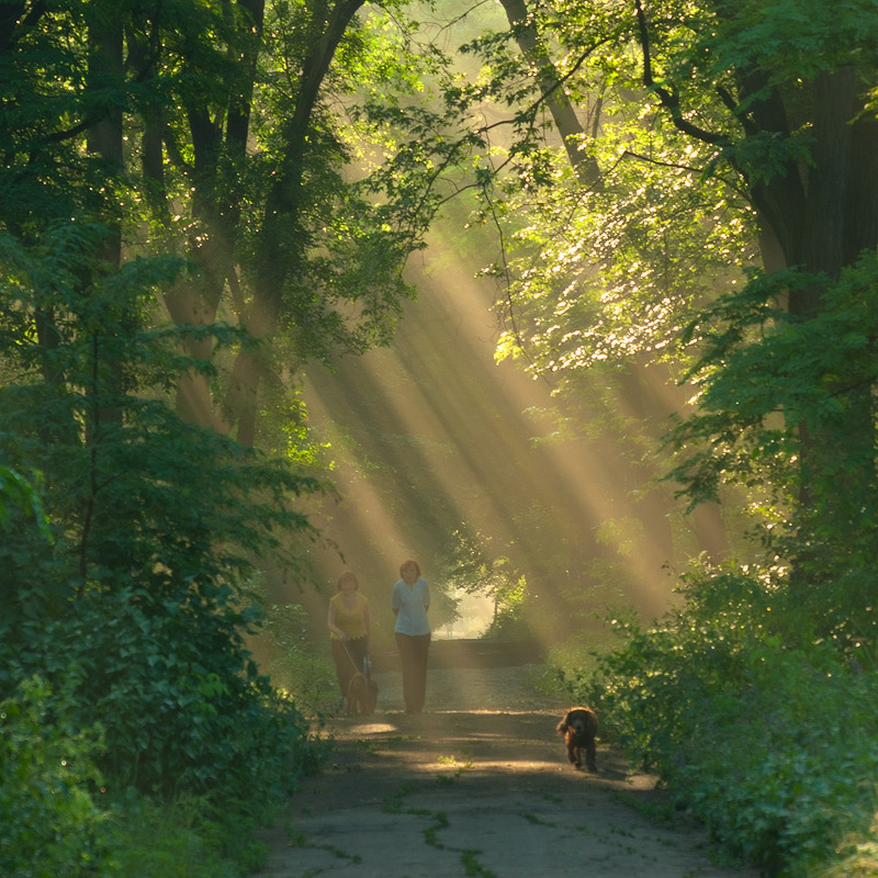 Солнечные Ванны