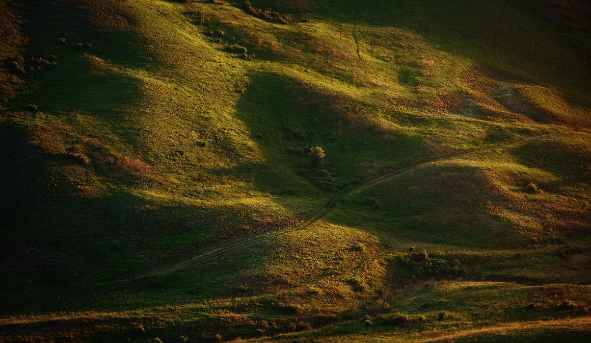 На крымских холмах