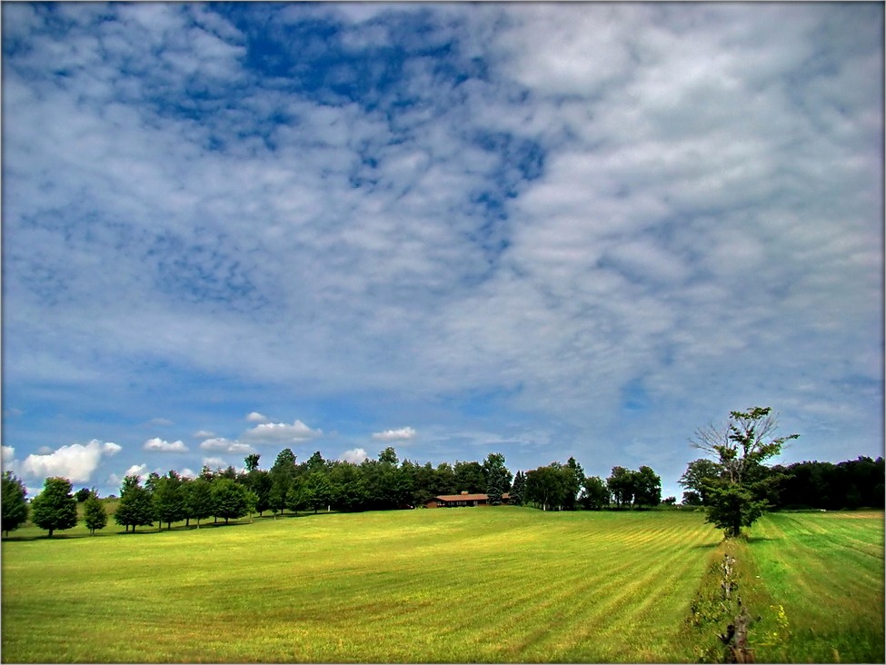 фермерскія далягляды