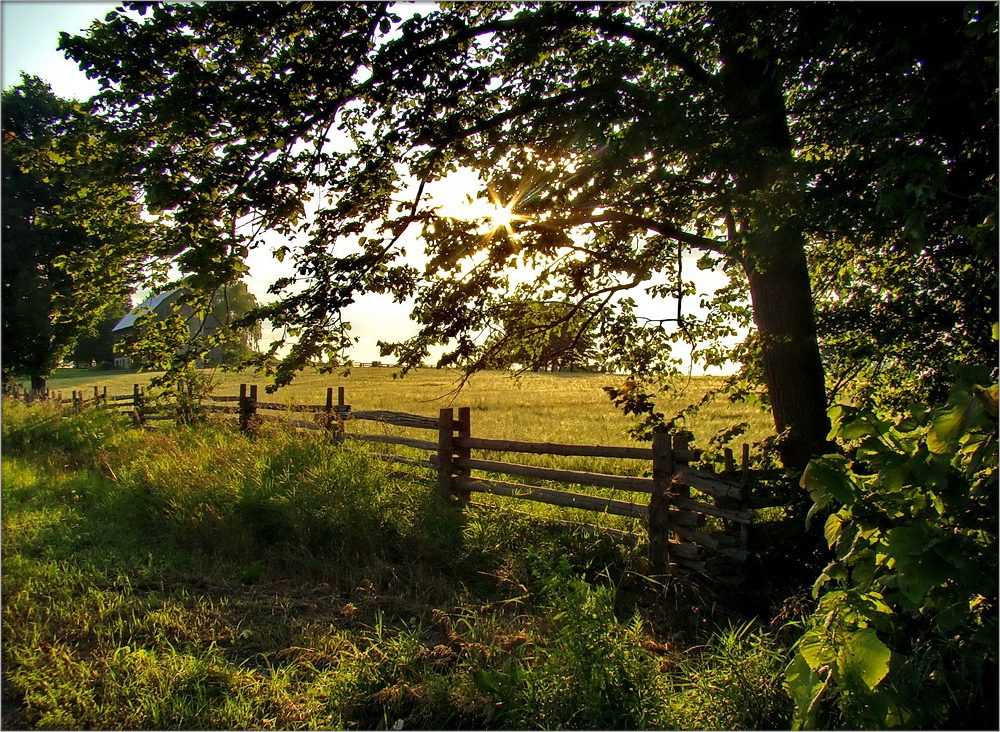 фермерские рассветы ..4