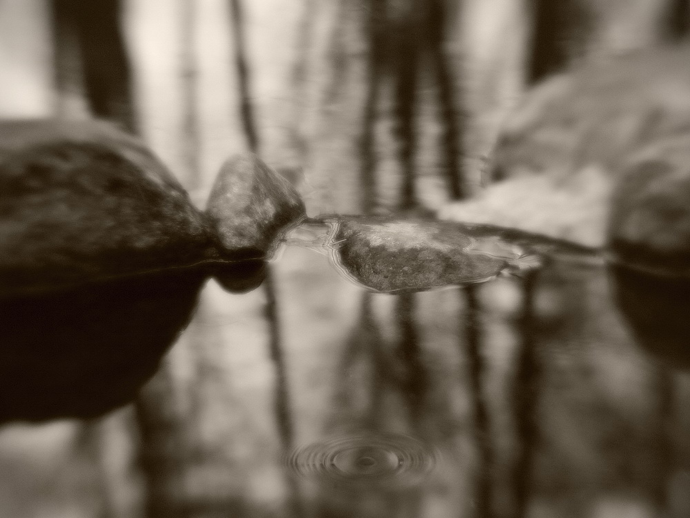 t i m e . f o r . r e f l e c t i o n s