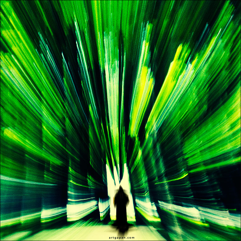 ‎[ The Wonderful Wizard of OZ ]