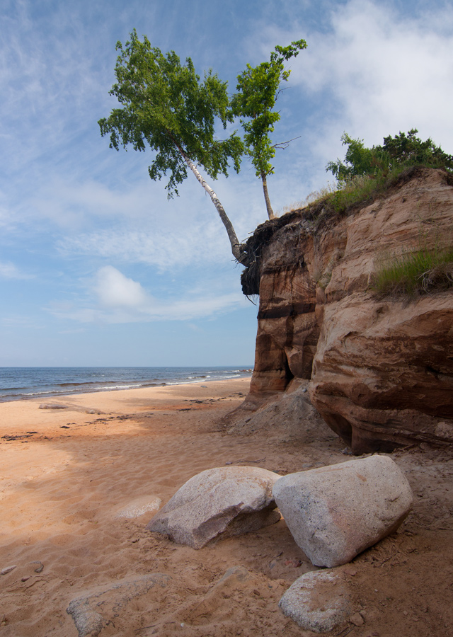 Не смотря ни на что