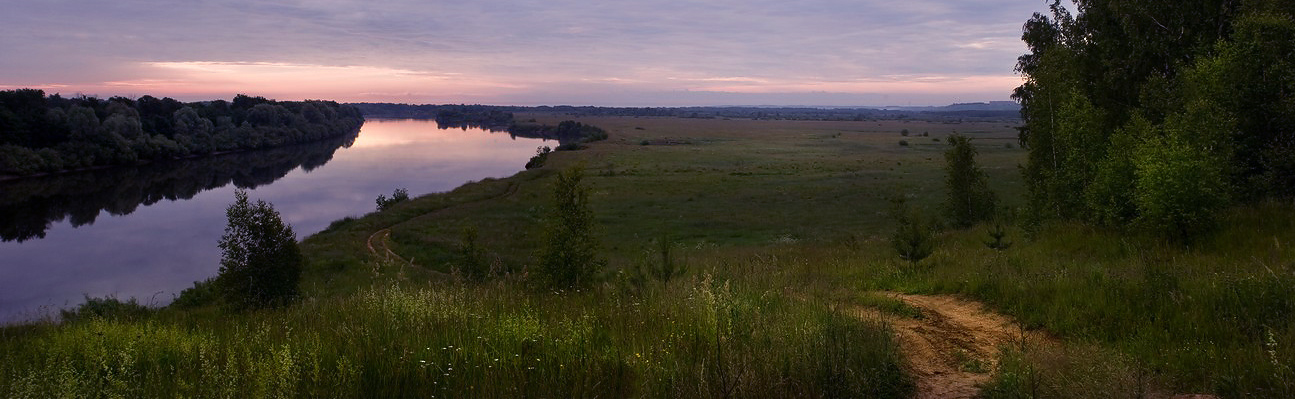 Заливные луга на рассвете