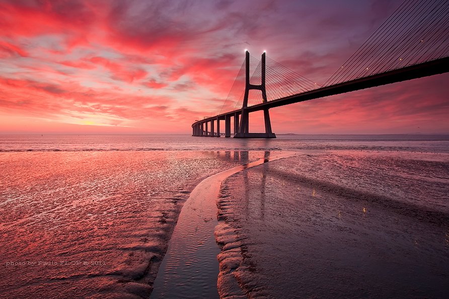 Тревожное утро