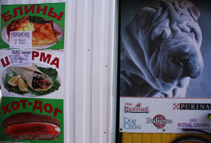 Пищевая цепочка