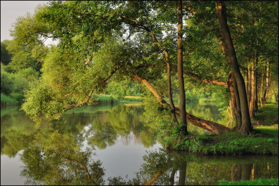 Лето на Свислочи