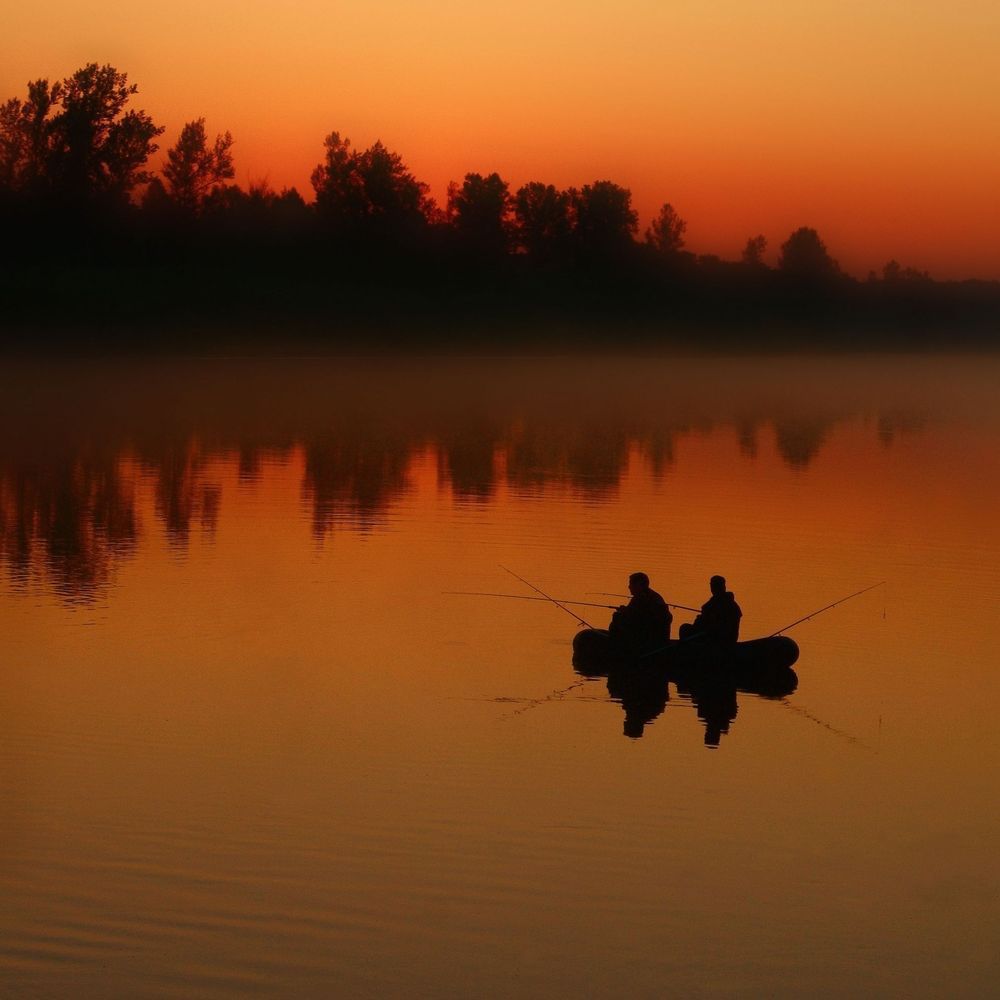 "Неспящие..."